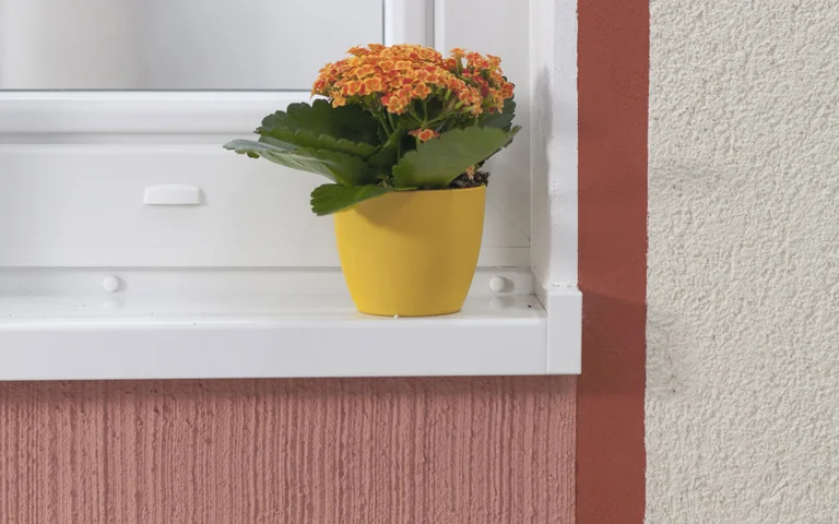 Nahaufnahme von einem Blumentopf der auf einem weißen Fensterbrett steht. Neben dem Fenster ist ein roter Streifen an der Wand.